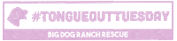Tot Tongue Out Tuesday Sticker by Big Dog Ranch Rescue