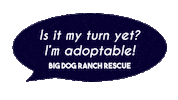 Bdrr Sticker by Big Dog Ranch Rescue