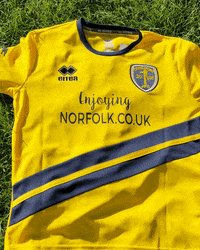 Dragons GIF by Enjoying Norfolk