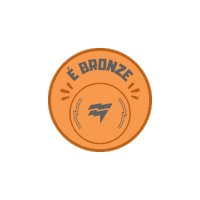 Medal Bronze Sticker by Comitê Paralímpico Brasileiro