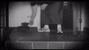 Teddy Bear GIF by zoefannet