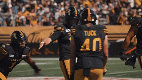 Tiger-Cats Football GIF by Hamilton Sports Group