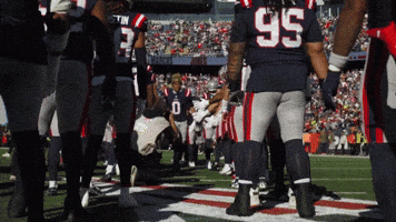Football Nfl GIF by New England Patriots