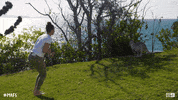 Hopping Channel 9 GIF by Married At First Sight Australia