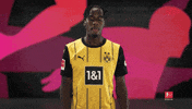 Knock Borussia Dortmund GIF by Bundesliga