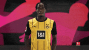 Borussia Dortmund Sleep GIF by Bundesliga