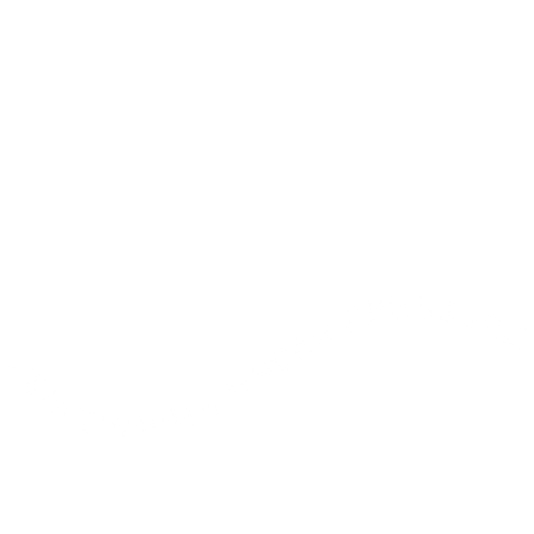 Meesvandenbrink giphyupload white orange flow Sticker