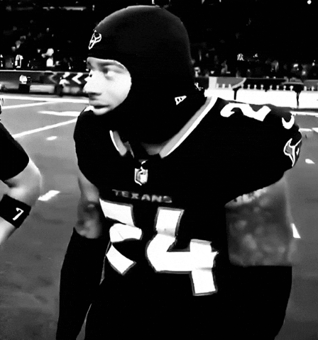 Texans GIF