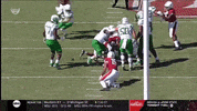 gostanford  GIF