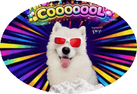Vet Wow Sticker
