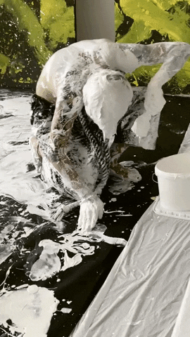 agencyand giphygifmaker qian geng GIF