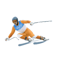 snow ski STICKER by imoji