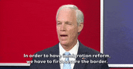 Wisen GIF by GIPHY News