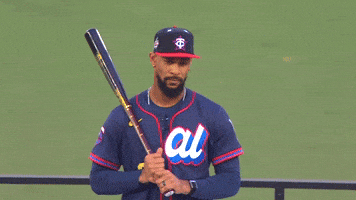 Minnesota Twins Sport GIF by MLB