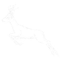 Snow Winter Sticker