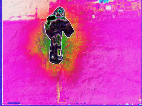 summer fall GIF by MFD