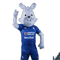 Lets Go Hype Sticker by Club de Futbol Cruz Azul