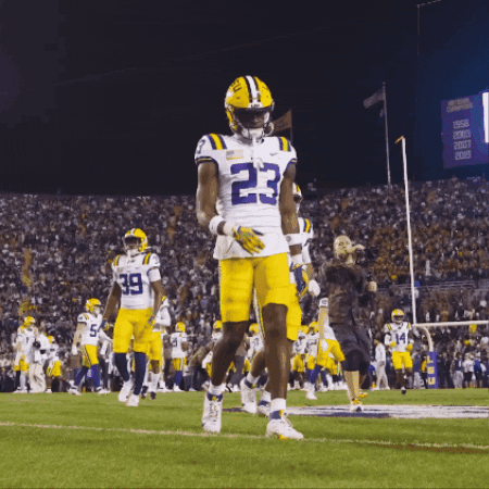 College Football GIF by LSU Tigers