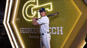 Georgia Tech Baseball GIF by Georgia Tech Yellow Jackets