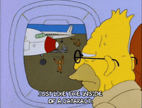 the simpsons GIF