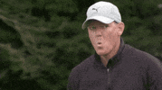 Pga Tour Golf GIF by PGA EuroPro Tour