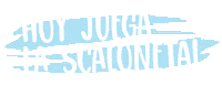 Futbol Argentina Sticker