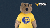 Great Job Yes GIF by WVU Tech Golden Bears
