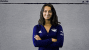 NevadaWolfPack swim dive wolfpack nevada GIF