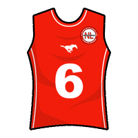 mustangsnl flagfootball tochito ifaf fmfa Sticker