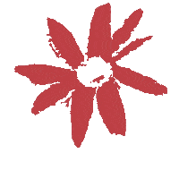 Sticker by Gidget Foundation Australia