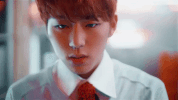 kpop k-pop k pop block b zico GIF