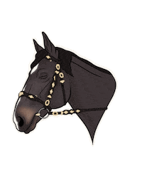 Horse Sticker by Marina Layton