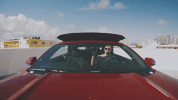 florida GIF