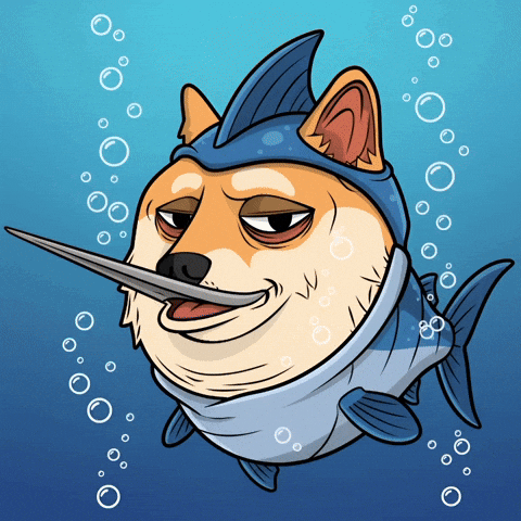 Shiba Inu Swimming GIF by Doge Pound