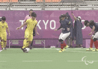 Paralympic Games Sport GIF by International Paralympic Committee