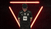 Borussia Dortmund Football GIF by Bundesliga