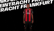Come On Celebration GIF by Eintracht Frankfurt