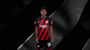 Logo Love GIF by Eintracht Frankfurt