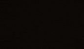 Maimon GIF by Luxury Home Rentals by TMG