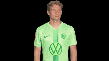 France No GIF by VfL Wolfsburg