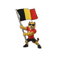 Belgium Sticker by Padbol official