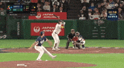 Wbc GIF