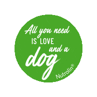 Nutrolin dog hund doglover koira Sticker