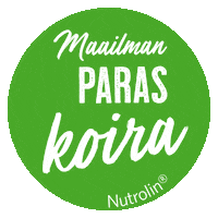 Dog Hund Sticker by Nutrolin®