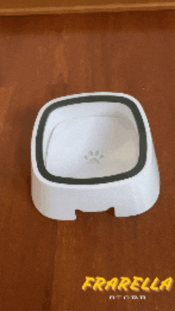 FranMaurice giphygifmaker GIF
