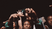 Top Shotta Flow GIF by NLE Choppa