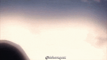 Attack On Titan GIF
