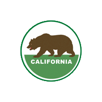 Local Government Bear Sticker by Tripepi Smith
