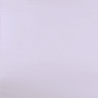 Leaf Where Is Everyone GIF by G2 Esports