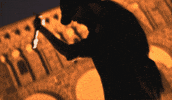 skyern artist rap singer concert GIF